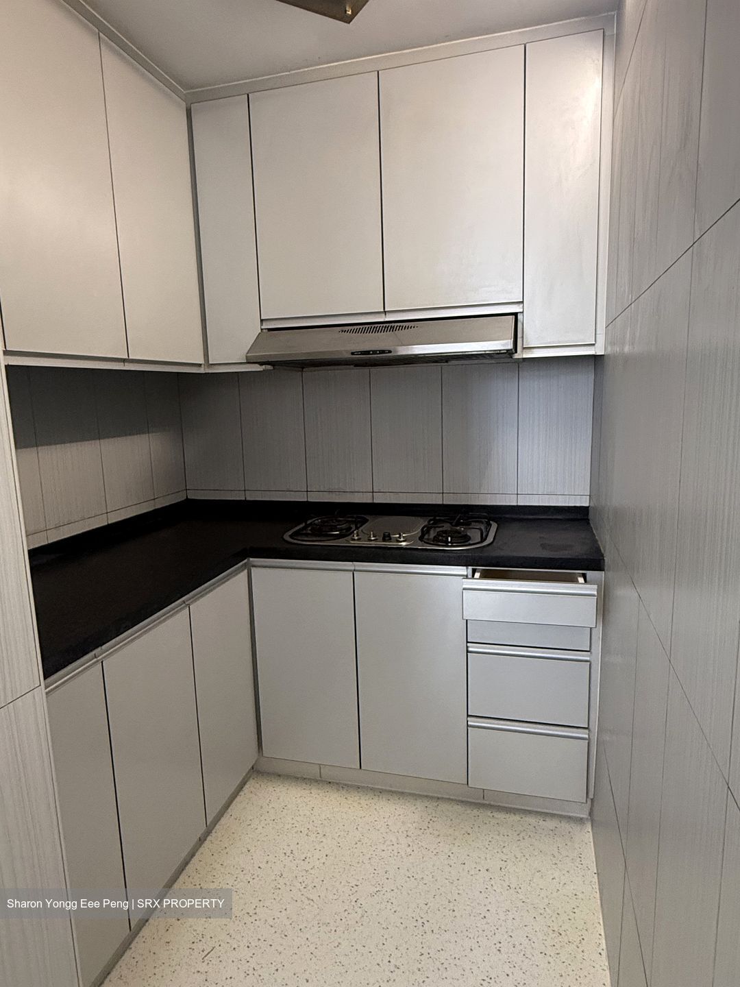 Evergreen View (D14), Apartment #523402401